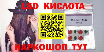 прущие грибы Северобайкальск