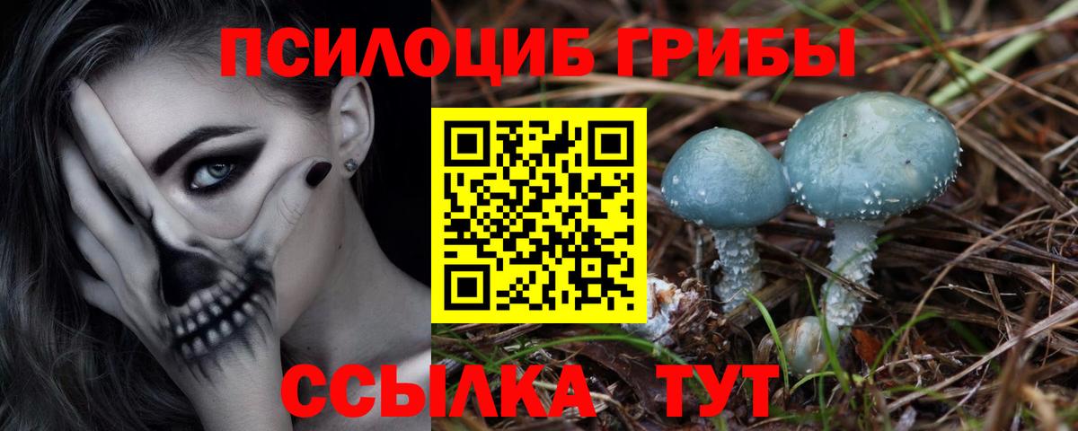 Псилоцибиновые грибы мицелий  Вход с VPN  Нарткала 