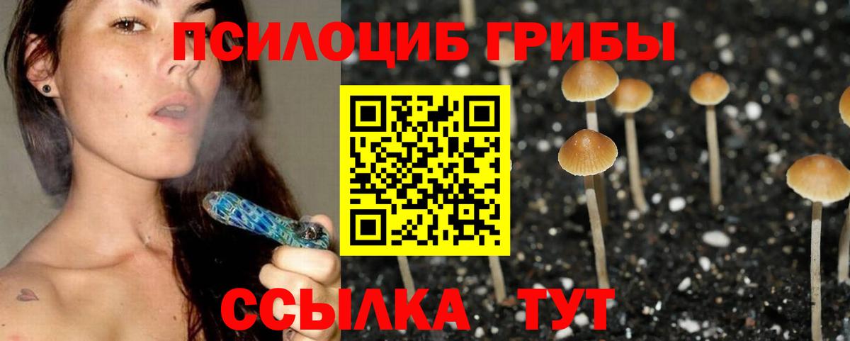 Псилоцибиновые грибы прущие грибы Нарткала